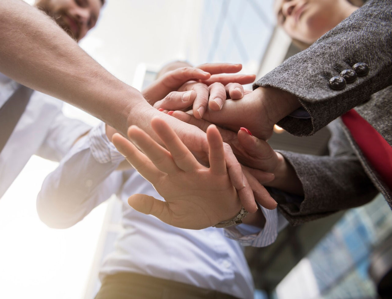 Gulf Dunes Landscaping mission-driven green design and execution